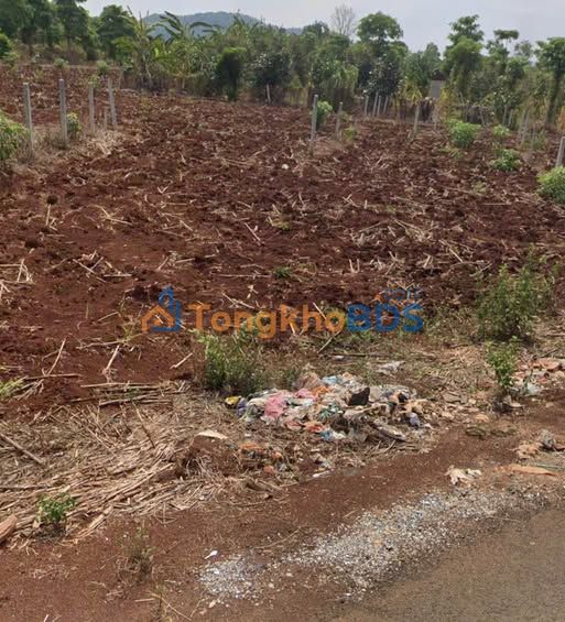 Đất 600m² mặt nhựa Khánh Xuân, Đắk Lắk - Giá 265 triệu, Bao tranh chấp