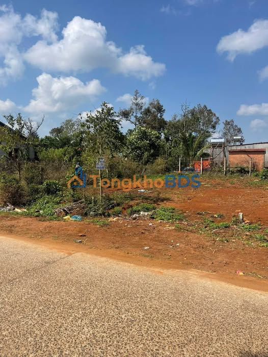 Đất Mặt Tiền D4 Đạt Lý 97m² - Giá 1.49 Tỷ, Gần Chợ, Kinh Doanh Đỉnh