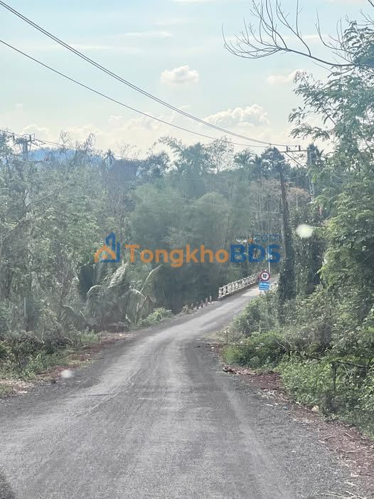 Đất Mặt Tiền Đường Nhựa Buôn Đôn 150m² - Giá Giảm Sốc Còn 3.8 Tỷ