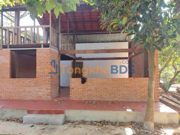 Đất Nền Buôn Ma Thuột 1.338m² - Sát Cao Tốc BMT-Khánh Hòa, Mặt Tiền Rộng