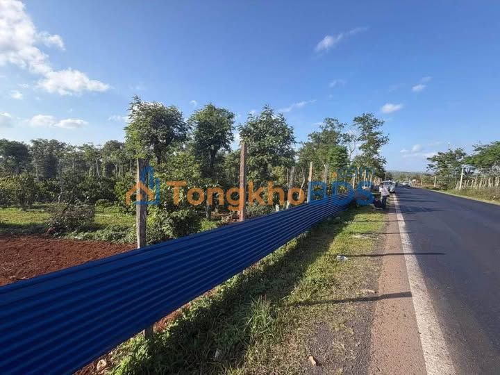 Bán Đất Mặt Tiền Buôn Hồ 6300m² - Lợi Thế Kinh Doanh Vượt Trội