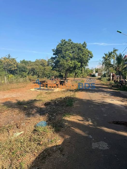 Đất thổ cư Eakao 100m² - Sổ hồng riêng, giá chỉ 500 triệu