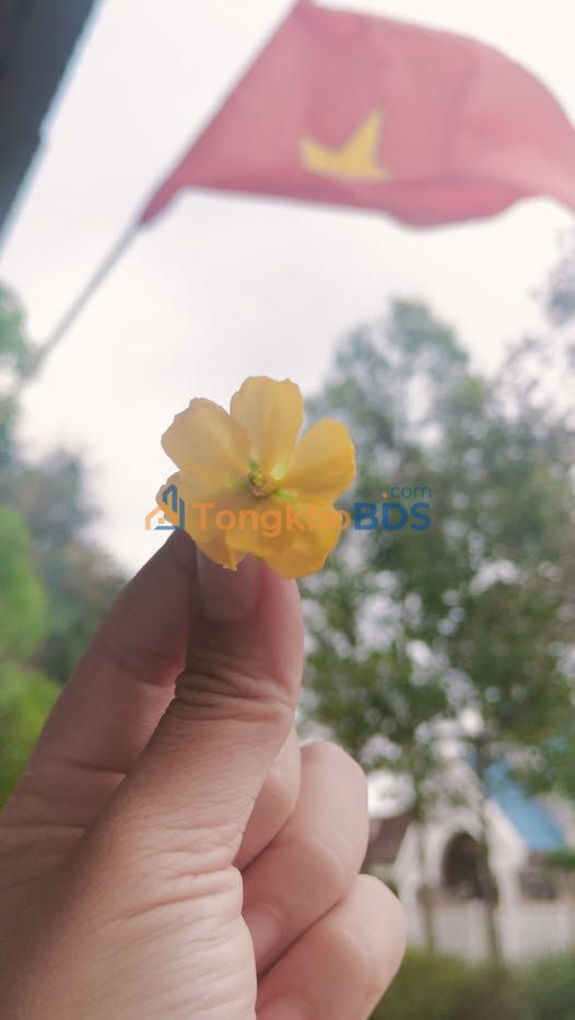 Đất nền Ea Kao, Đắk Lắk - 250m² Thổ Cư, Giá F0 680 Triệu/Lô