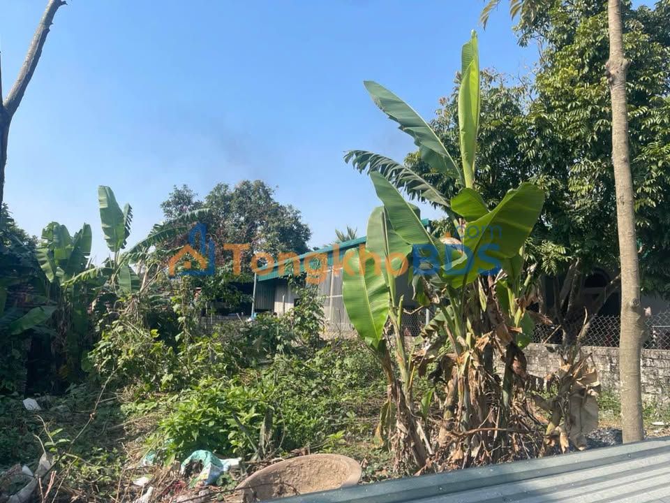 Đất nền Quảng Tâm, Thanh Hóa 95m² - Sổ đỏ sẵn sàng, gần chợ Môi