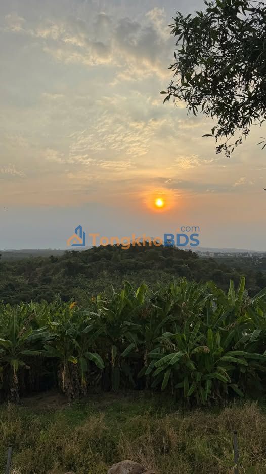 Đất Nền Gia Kiệm Đồng Nai 1300m² - Sổ Đỏ Rõ Ràng, Giá Chỉ 1.2 Tỷ