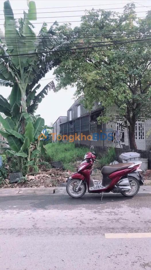 Đất Nền Trảng Bom 595m² - Sổ Riêng, Mặt Tiền Kinh Doanh Giá Tốt