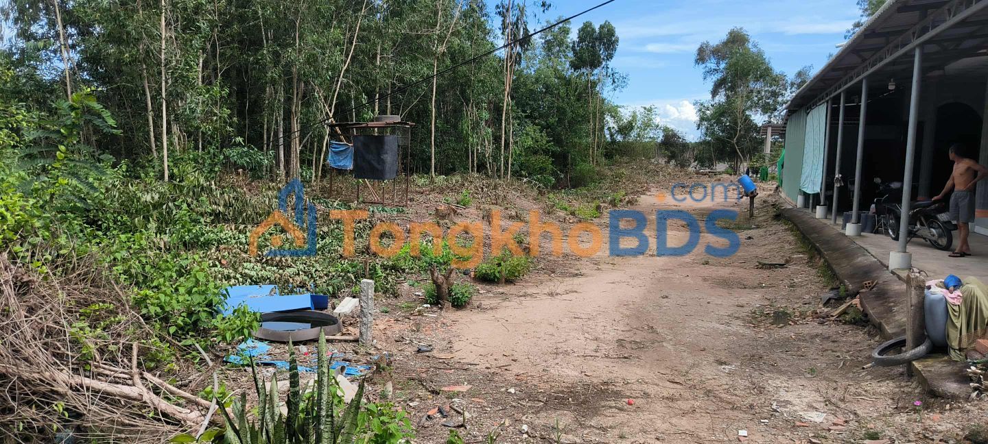 Đất Vườn 300m² Đức Huệ, Long An - Sổ Hồng Sẵn Sàng, Giá Chỉ 450 Triệu