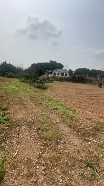 Bán gấp đất 2000m² mặt tiền đường 36m KCN Tích Sơn, Vĩnh Phúc