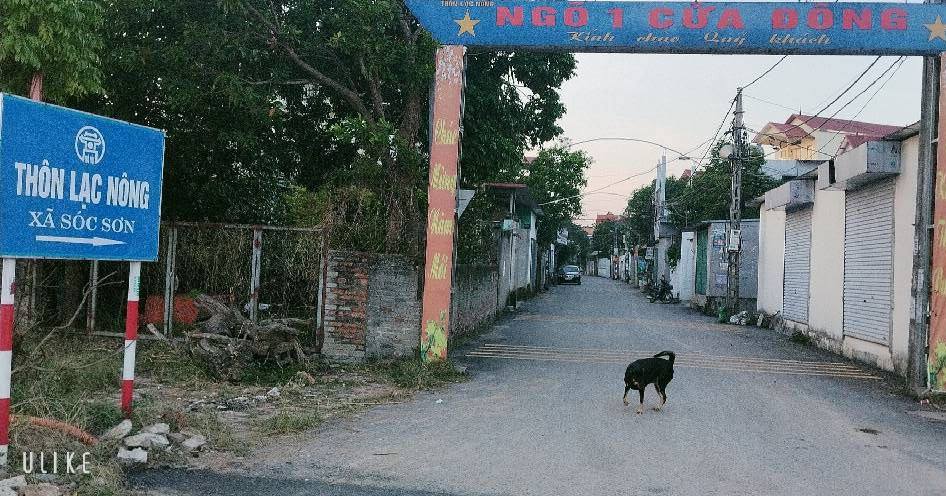 Đất Sóc Sơn 94m² Mặt Tiền Lạc Nông - Ô tô vào đất, Pháp lý rõ ràng