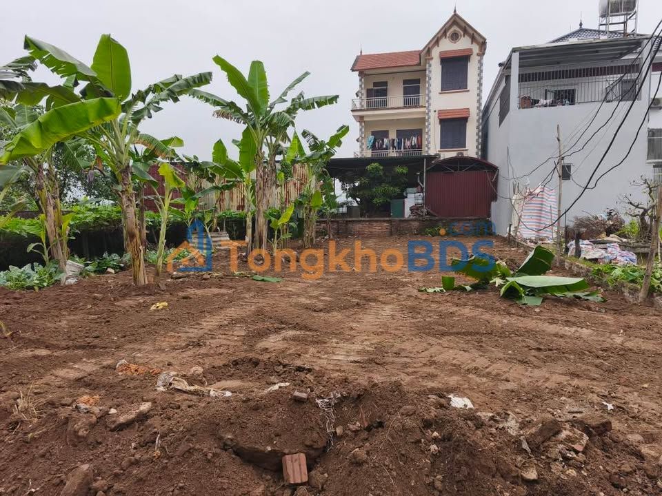 Đất Sóc Sơn 146.5m² - Sổ Đỏ Riêng, Ô Tô Tới Đất, Gần KCN