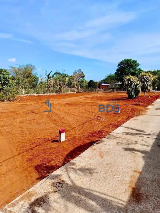 Đất Nền Long Tân, Nhơn Trạch 126.5m² - Sổ Đỏ Sẵn Sàng - Giá 800 Triệu