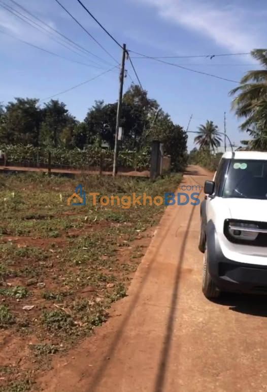 Đất nền Buôn Kang, Cư Kuin 3000m² - Sổ đỏ sẵn, giá đầu tư 6xx triệu