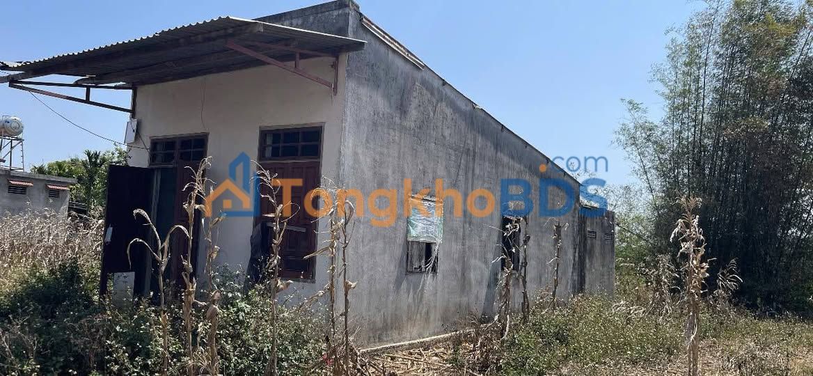 Nhà Cấp 4 Mặt Tiền Đường Nhựa Tuy Hòa - Lời Lỗ Sâu 100 Triệu