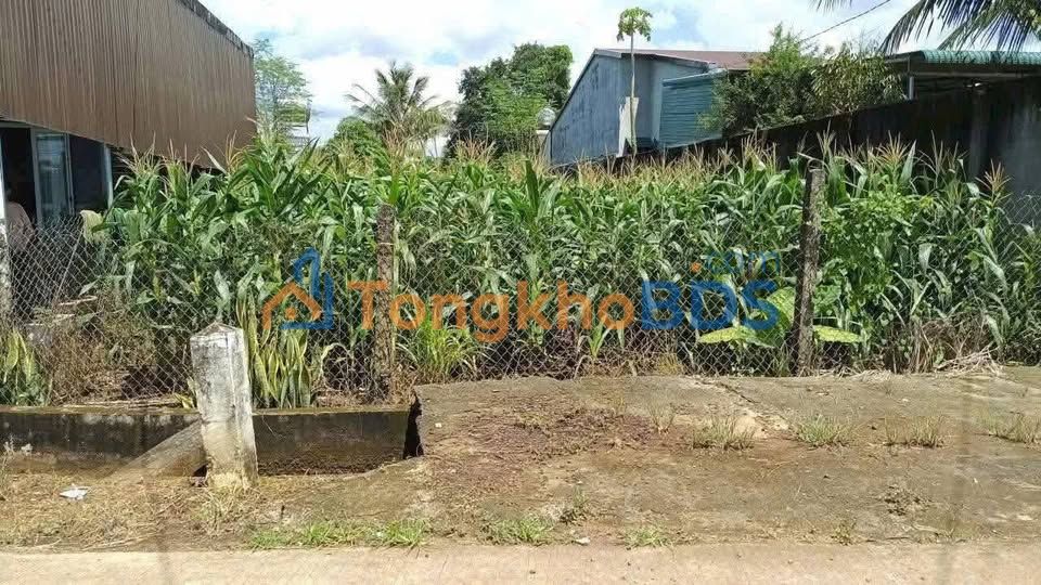 Bán Đất Vàng Phường Thành Nhất BMT - 500m² - Sổ Hồng Sẵn Sàng