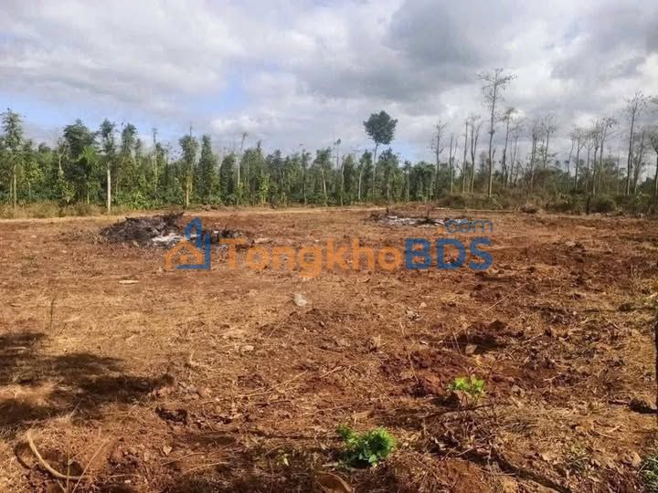 Bán Gấp Đất Vườn 1400m² Mặt Tiền Hẻm Cấp 1 Quảng Phú, Đắk Lắk - Giá 989 Triệu