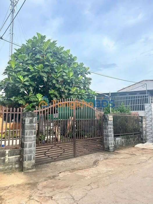 Nhà Hẻm 79 Đinh Núp BMT - 177m² Ngang 7.5m - Giá 4.5 Tỷ