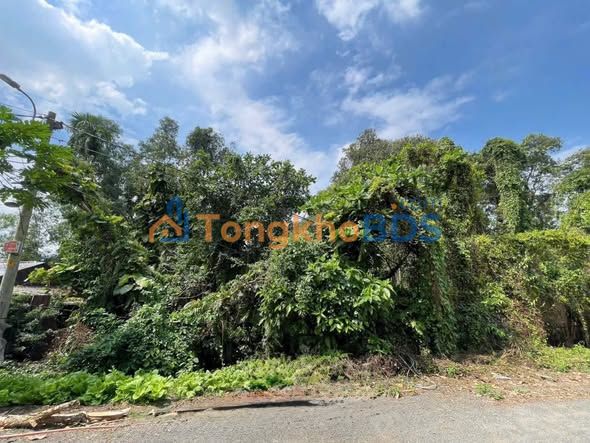 Đất Vàng Mặt Tiền Đỗ Văn Dậy, TP. Thủ Đức - 2218m², Sổ Đỏ, Giá 25 Tỷ