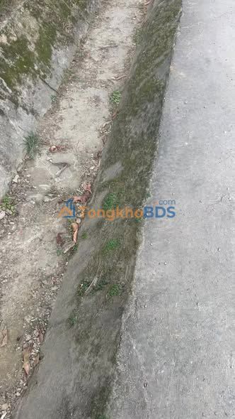 Đất Vàng Quốc Lộ 70B Phú Thọ - 317m² Thổ Cư, Kinh Doanh Đỉnh Cao