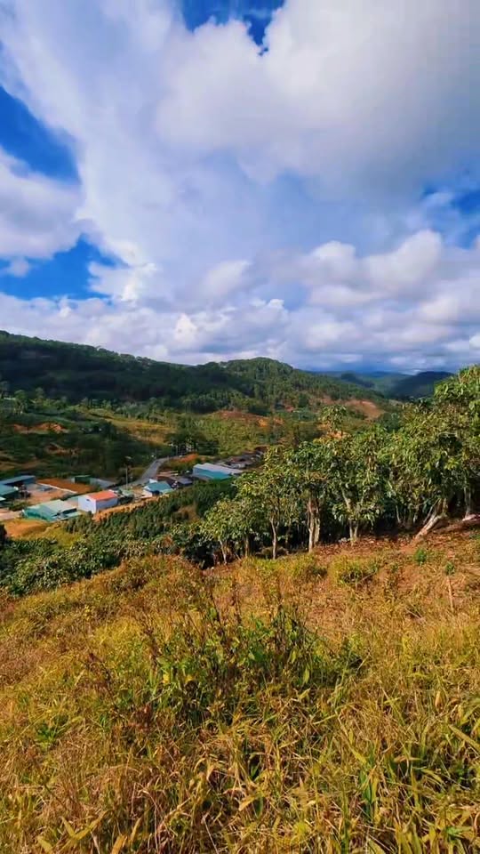 Đất Nền Đạ Sar Lạc Dương 251m² - Sổ Hồng Thổ Cư, View Đồi Núi Xanh Mát