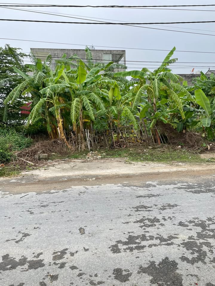 Đất nền Kiến Thụy, Hải Phòng - 136m² cạnh Bigsun, giá 2.x tỷ