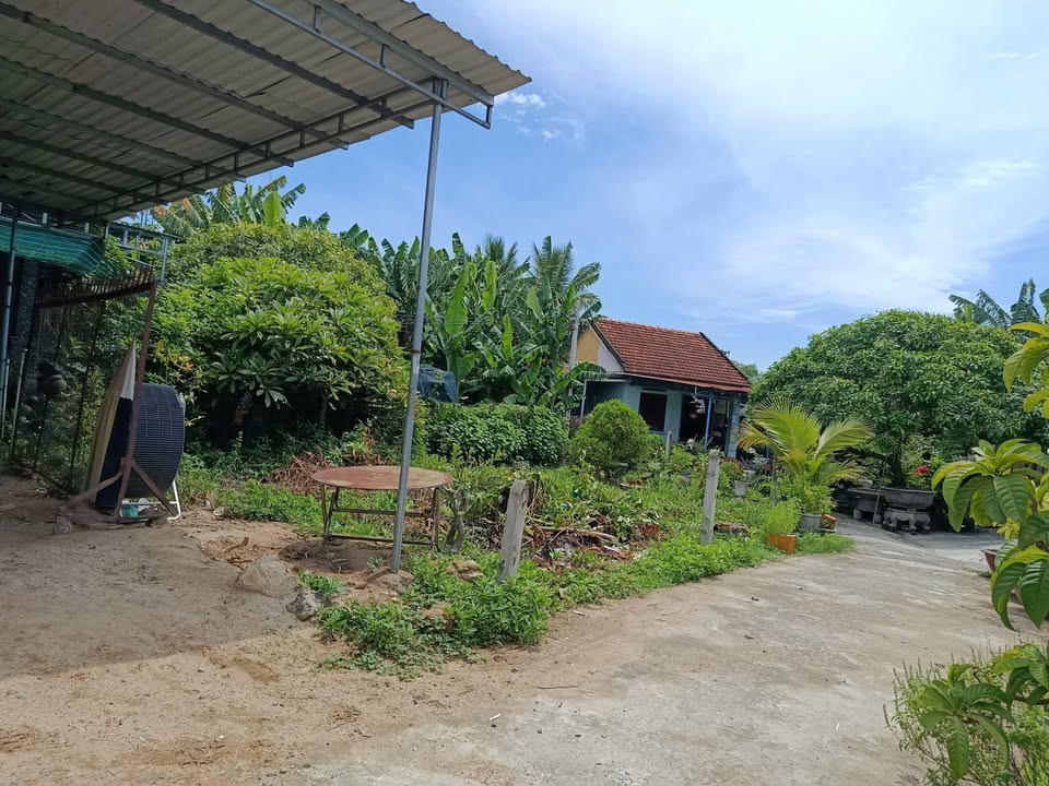 Đất nền Diên An, Khánh Hòa - 113m² - Sổ đỏ thổ cư 60m² - Giá đầu tư 1.9 tỷ