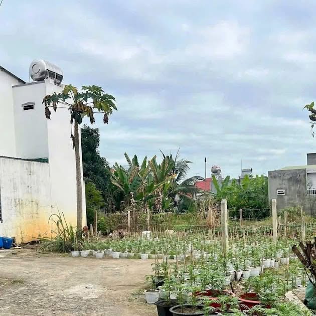 Bán đất Diên Khánh 67m² - Sổ hồng sẵn, giá chỉ 1.1 tỷ