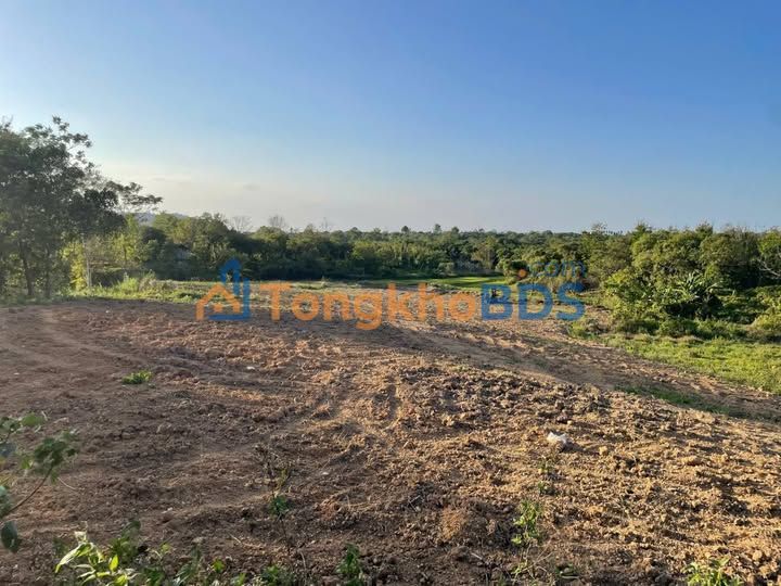 Bán Đất Farm 1ha Phường Ea Kao - Trồng Cafe, Tiêu - Giá Tốt 1.95 Tỷ