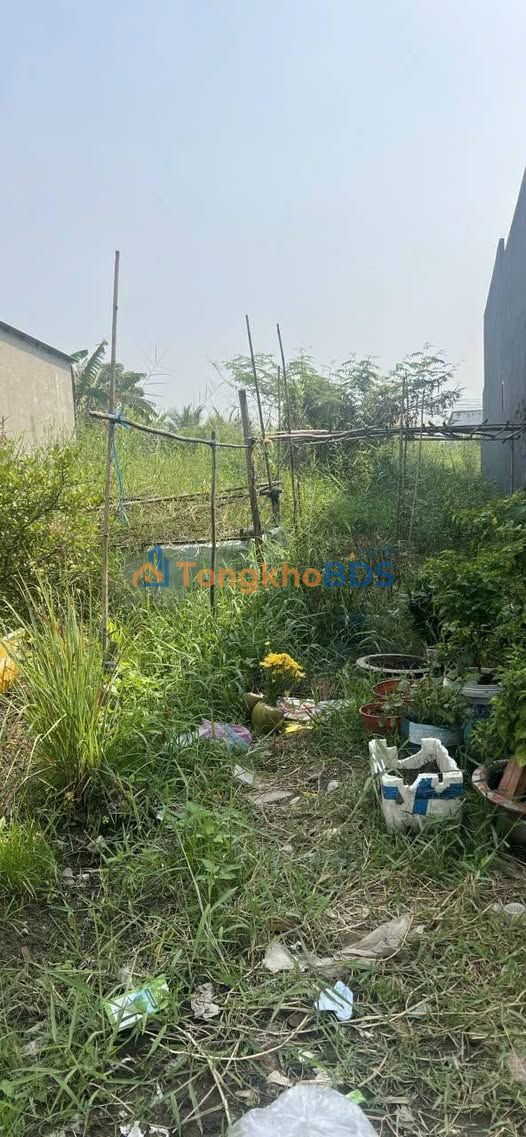 Bán Đất Nền 455m² Gò Hưu, Đức Hòa - Sổ Hồng Riêng, Giá 3.6 Tỷ