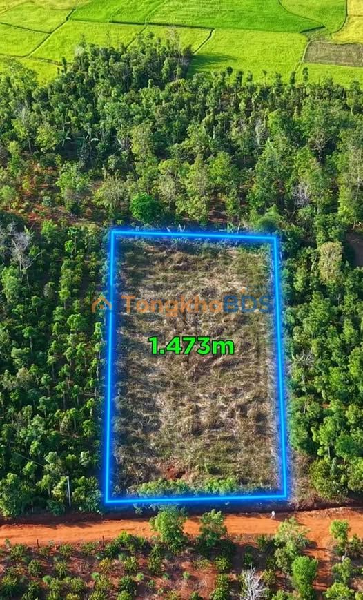 Đất Vườn Ea Bar Đắk Lắk 1473m² - Sổ Hồng Sẵn Sàng