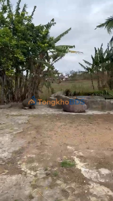 Bán Đất Farm 10.000m² Đắk Lắk - Có Hồ, Có Nhà, Sẵn Sổ Đỏ