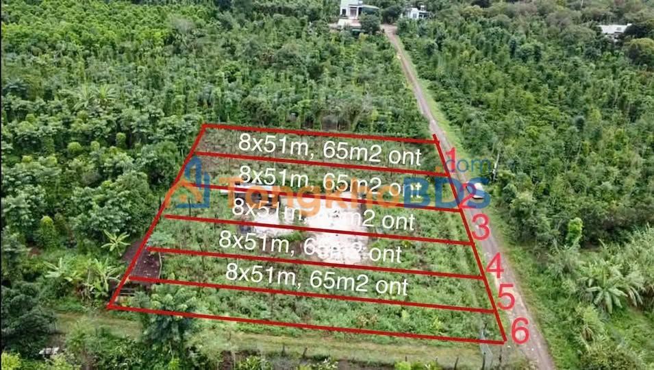 Đất Nền Ea M'nang, Đắk Lắk - 400m² Hướng Nam, Giá 339 Triệu