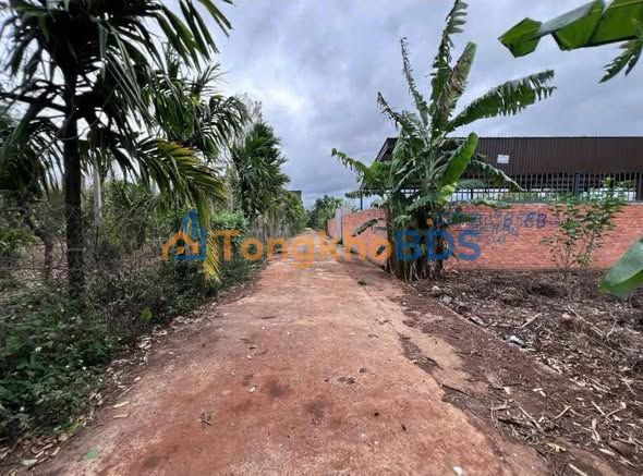 Đất nền EATU - KOTAM, Buôn Ma Thuột 110m² - Giá Rẻ F0, Đầu tư Sinh lời