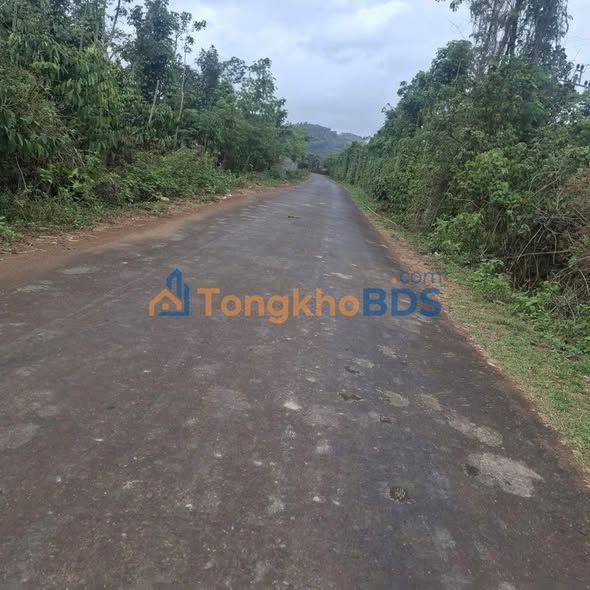 Đất Vườn Đắk Lắk 3000m² - Mặt Tiền Nhựa 5m, Gần Hồ Buôn Bông