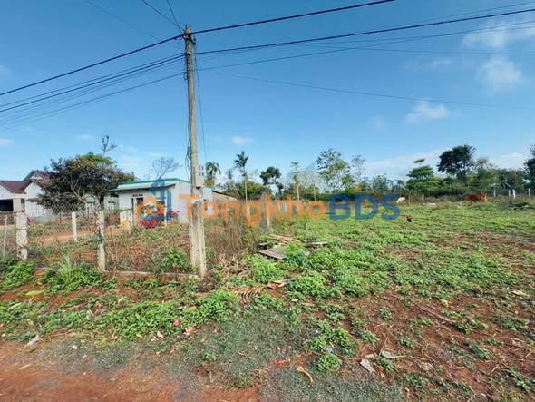 Đất thổ cư Cư Đăng, Đắk Lắk 300m² - Giá 520 triệu, sẵn sổ hồng