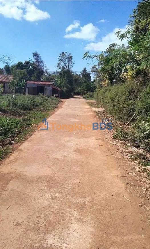 Đất Thổ Cư 250m² MT 10m - Khu Đô Thị Cà Phê BMT - Giá 850 Triệu