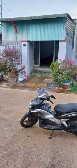 Bán đất nông nghiệp 100m² Cư Kuin - Sổ chung, giá 850 triệu