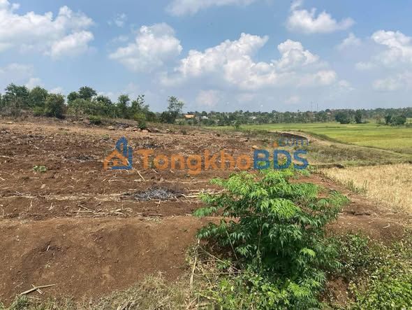 Bán Đất View Ruộng Buôn Hồ, Đắk Lắk - 360m² Sổ Thổ Cư Giá 400 Triệu