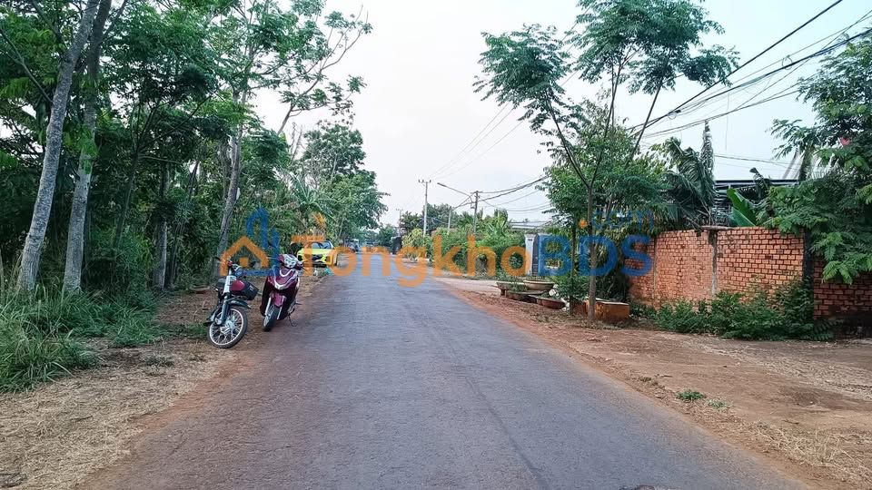 Đất nền mặt tiền Thế Lữ, Buôn Ma Thuột - 150m², 3 tỷ, đối diện dự án lớn