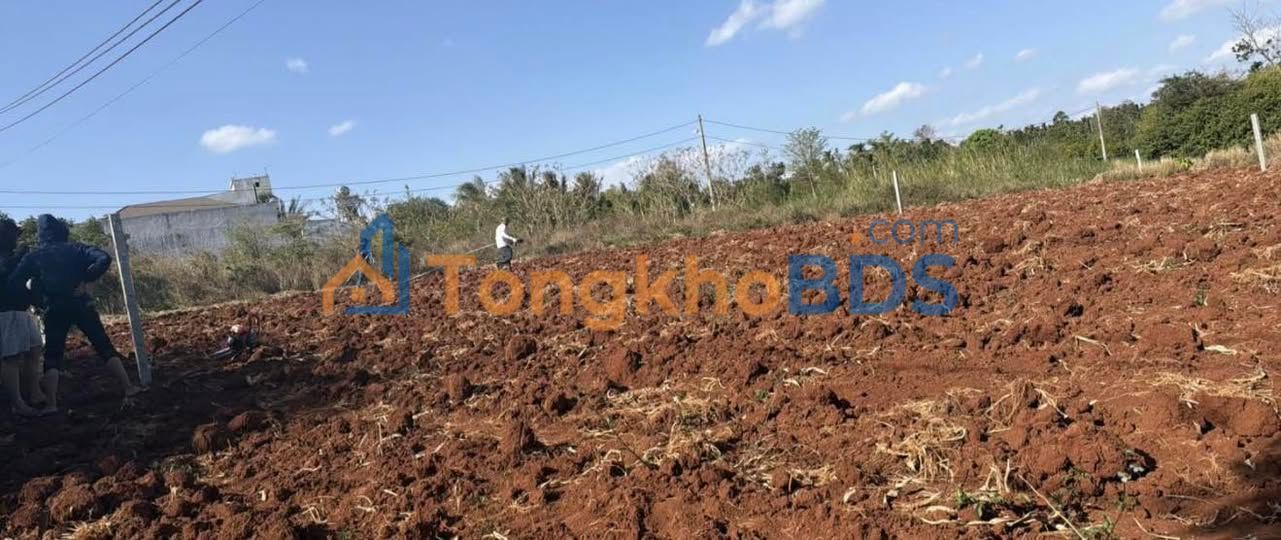 Đất Nền Mặt Tiền Hồ Đạt Lý, Buôn Ma Thuột - 927m² Sổ Riêng, Giá Tốt