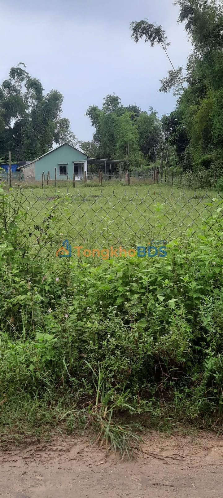 Đất Nền Thị Trấn Ngô Mây, Phù Cát - 117.8m² Sổ Đỏ, Giá Tốt Đầu Tư