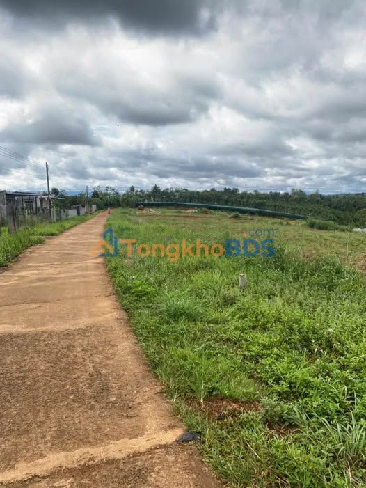 Đất Nhân Cơ Đắk Nông 240m² 485tr - Đường to ô tô