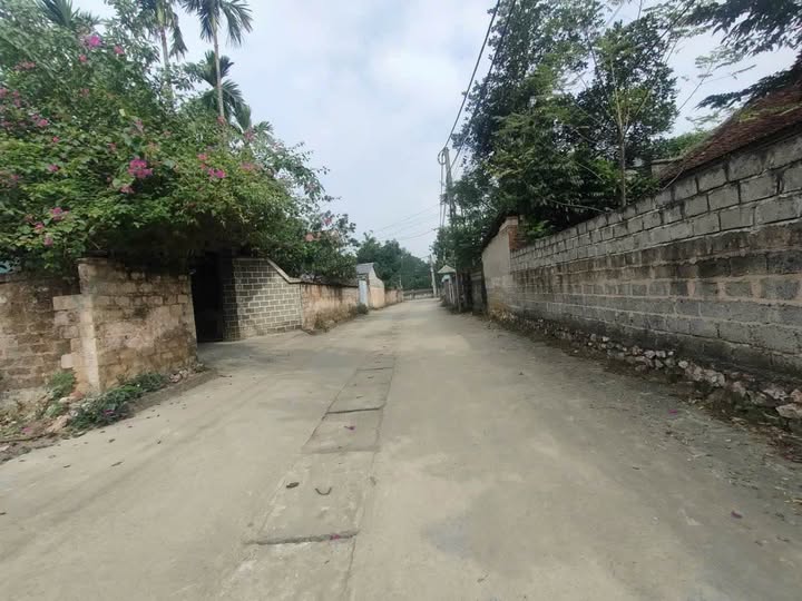 Bán 667m² Đất Hạnh Côn, Chương Mỹ - Sổ Đỏ Chính Chủ, Giá Đầu Tư Dưới 10tr/m²