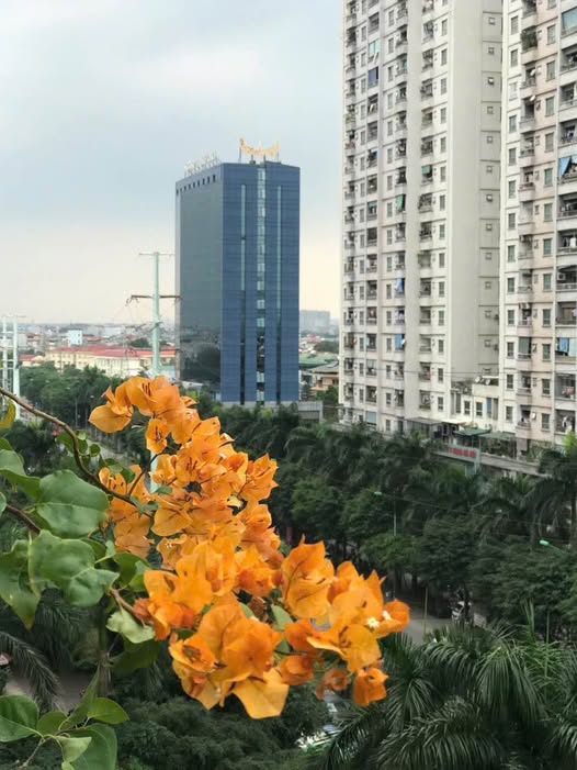 Căn hộ 56m² KĐT Xa La, Hà Đông - Sổ đỏ chính chủ, sẵn sàng đón chủ mới