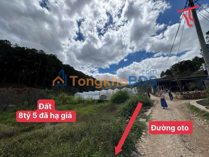 Đất nền Mimosa P.7 Đà Lạt 3.600m² 8.5 tỷ - Sổ đỏ