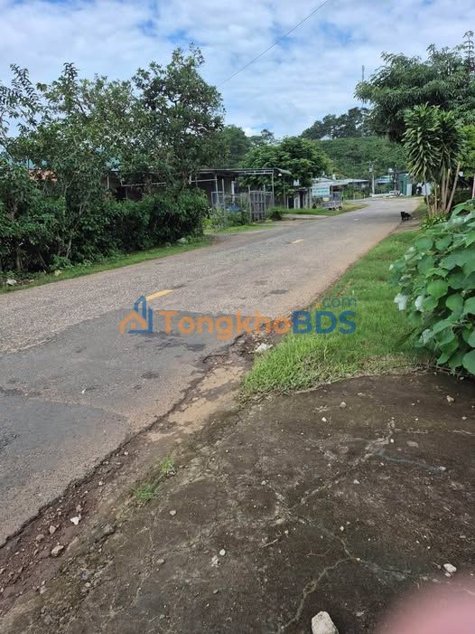 Nhà Mặt Tiền Tỉnh Lộ 725, Bảo Lâm - Kinh Doanh Đắc Lợi 115m²