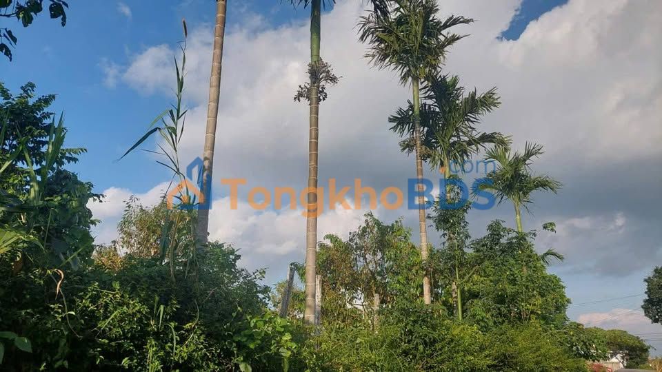 Đất nền B'lao Bảo Lộc 250m² 325 triệu - Sổ đỏ chính chủ