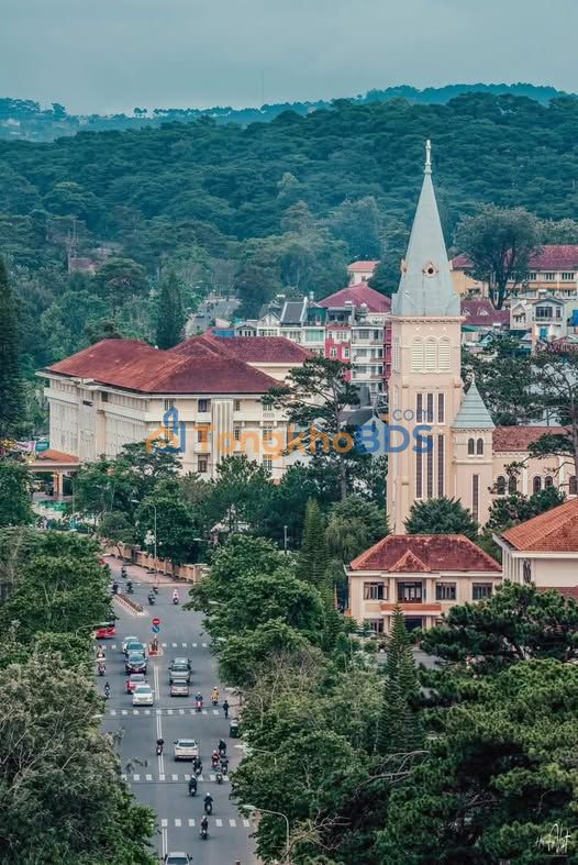 Đất nền Phường 8 Đà Lạt 114m² 6.5 tỷ - Pháp lý rõ ràng