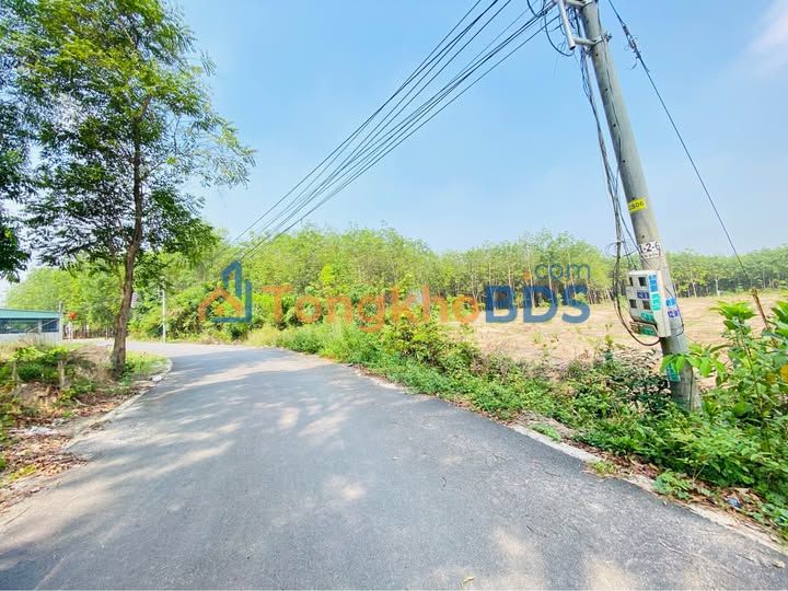 Đất Nền Thuận An 480m² - Sổ TC 100m² - Giá 1 Tỷ XX - Đầu Tư Sinh Lời