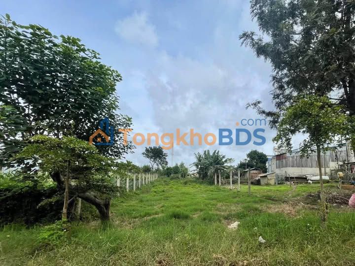 Bán Đất Nền 354m² Xã Tu Tra, Đơn Dương - Sổ Đỏ Sẵn Sàng