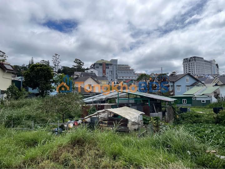 Đất Vàng Đà Lạt: 296m² Mặt Tiền Phạm Hồng Thái - Sổ Riêng Xây Dựng - Giá 7.5 Tỷ